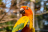 22-HUAWEI P60 Pro-Guangzhou-China.png